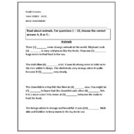 ورقة عمل MAZE ASSESSMENT اللغة الإنجليزية الصف السادس Access