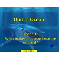 حل درس What makes an ocean creature unusual اللغة الإنجليزية الصف الثامن - بوربوينت