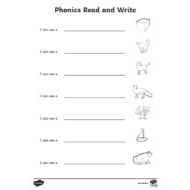 ورقة عمل Phonics Read and Write اللغة الإنجليزية الصف الأول