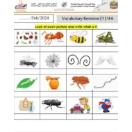مراجعة Vocabulary Revision Unit 6 اللغة الإنجليزية الصف الثالث