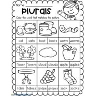ورقة عمل Plurals اللغة الإنجليزية الصف الثاني