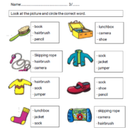 اللغة الإنجليزية ورقة عمل (Vocabulary lesson 10) للصف الثالث