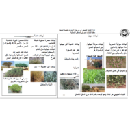 الدراسات الإجتماعية والتربية الوطنية أنواع النبات الطبيعي للصف التاسع