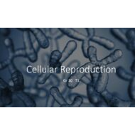 درس Cellular Reproduction الأحياء الصف العاشر - بوربوينت