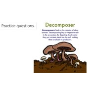 حل تدريبات decomposer العلوم المتكاملة الصف الخامس - بوربوينت