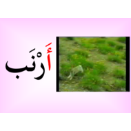 ملف حرف الألف اللغة العربية الصف الأول - بوربوينت