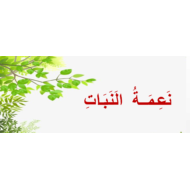 درس نعمة النبات الصف الثاني مادة التربية الإسلامية - بوربوينت