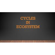 درس Cycles in ecosystem العلوم المتكاملة الصف الخامس - بوربوينت