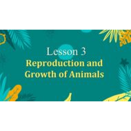 حل درس Reproduction and Growth of Animals العلوم المتكاملة الصف السادس - بوربوينت