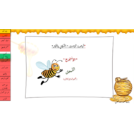 حل درس الاستماع النحل الصف الثاني مادة اللغة العربية - بوربوينت