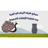 التجريد الشفوي والكتابي طريف الطاووس اللطيف اللغة العربية الصف الأول - بوربوينت