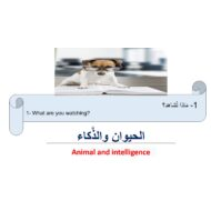 درس الحيوان والذكاء لغير الناطقين بها اللغة العربية الصف الرابع - بوربوينت