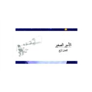 رواية الأمير الصغير الفصل الرابع اللغة العربية الصف التاسع - بوربوينت