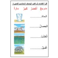 أوراق عمل تدريبات القراءة اللغة العربية الصف الأول - بوربوينت