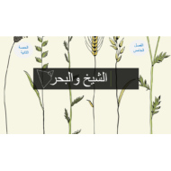 اللغة العربية بوربوينت (الشيخ والبحر) للصف العاشر
