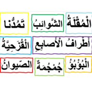 اللغة العربية بوربوينت مفردات وتراكيب درس (الحواس الخمسة) للصف الثاني