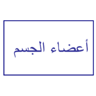 اللغة العربية بوربوينت درس (أعضاء الجسم) لغير الناطقين بها للصف الأول