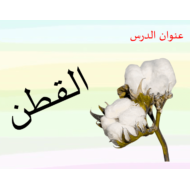 اللغة العربية بوربوينت درس (القطن) للصف الأول مع الإجابات
