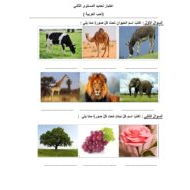 اختبار تحديد المستوى الثاني اللغة العربية الصف الثاني