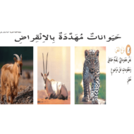بوربوينت درس حيوانات مهددة بالانقراض مع الاجابات للصف الرابع مادة اللغة العربية