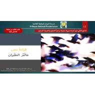 درس النص المعلوماتي عالم الطيران الصف الثاني مادة اللغة العربية - بوربوينت