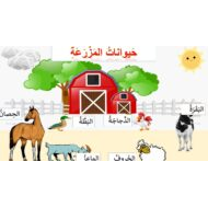 قصة درس في المزرعة لغير الناطقين بها اللغة العربية الصف الثالث - بوربوينت