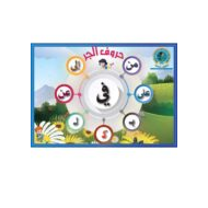 اللغة العربية شرح (قواعد) للصف الثالث