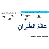 مفردات درس عالم الطيران الصف الثاني مادة اللغة العربية - بوربوينت
