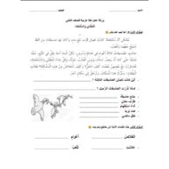 ورقة عمل البطتان والسلحفاة اللغة العربية الصف الثاني