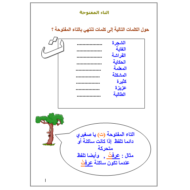 اللغة العربية أوراق عمل (التاء المفتوحة والتاء المربوطة) للصف الثاني