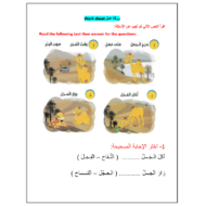 ورقة عمل درس الجمل - ج لغير الناطقين بها الصف الأول مادة اللغة العربية
