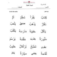ورقة عمل الجملة الفعلية لغير الناطقين بها اللغة العربية الصف الثالث