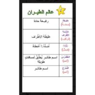 اللغة العربية ورقة عمل (عالم الطيران) للصف الثاني