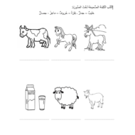 اللغة العربية ورقة عمل (في المزرعة) لغير الناطقين بها للصف الثالث