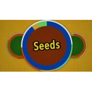 حل درس Seeds العلوم المتكاملة الصف الثاني - بوربوينت