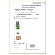 ورقة عمل Practice Quiz 2 العلوم المتكاملة الصف الثاني