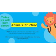 درس Animals Structure العلوم المتكاملة الصف الأول - بوربوينت