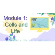 درس Cells and Life العلوم المتكاملة الصف السادس - بوربوينت