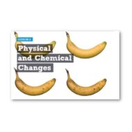 حل درس Physical and chimerical change العلوم المتكاملة الصف الخامس - بوربوينت