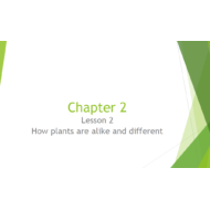 العلوم المتكاملة درس (How Plants are alike and different) بالإنجليزي للصف الثاني مع الإجابات
