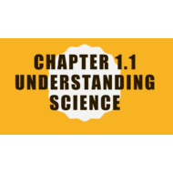 العلوم المتكاملة بوربوينت (Chapter 1) بالإنجليزي للصف السابع