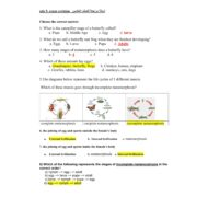 حل أوراق عمل exam revision الوحدة الثانية والثالثة العلوم المتكاملة الصف الخامس