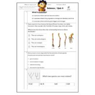 ورقة عمل Quiz 4 العلوم المتكاملة الصف الثامن