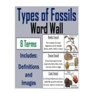 ملخص Type of fossils بالإنجليزي العلوم المتكاملة الصف الثالث