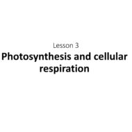 حل درس Photosynthesis and cellular respiration العلوم المتكاملة الصف السادس - بوربوينت