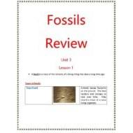 مراجعة Fossils Review بالإنجليزي العلوم المتكاملة الصف الثالث