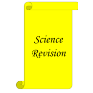 العلوم المتكاملة أوراق عمل (مراجعة) بالإنجليزي للصف الرابع
