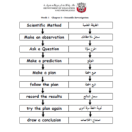 العلوم المتكاملة ملخص شامل باللغتين للصف الأول