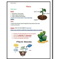 ملخص درس Plants العلوم المتكاملة الصف الثاني
