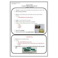 العلوم المتكاملة ملخص - أوراق عمل (Minerals) بالإنجليزي للصف الخامس